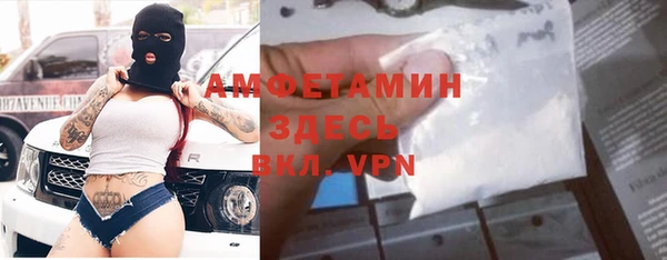 spice Богородицк