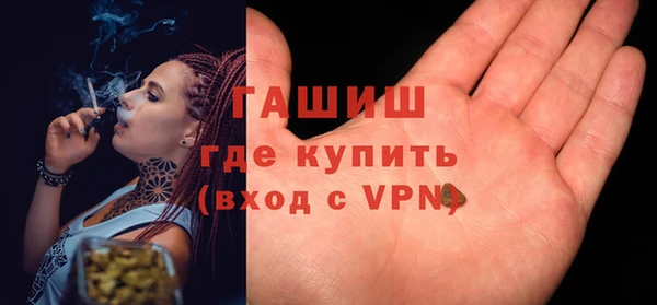 spice Богородицк