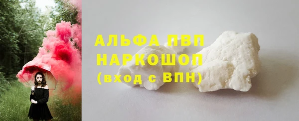 PSILOCYBIN Осинники