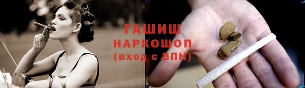 spice Богородицк
