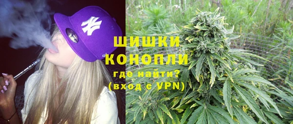 крисы Богданович