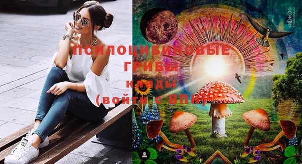spice Богородицк