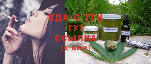 spice Богородицк