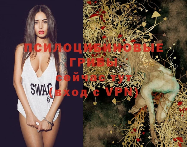 MDMA Нязепетровск