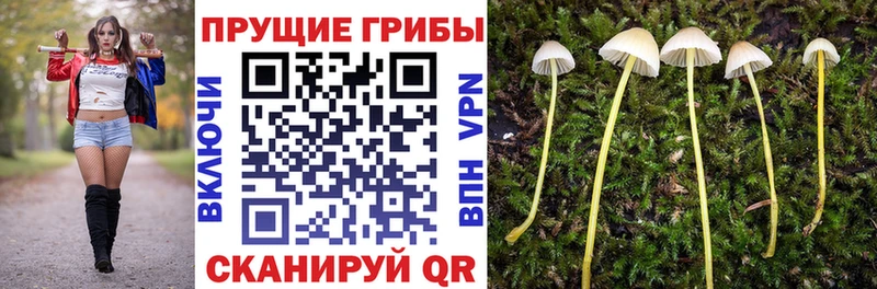 закладка Дмитриев hydra зеркало Псилоцибиновые грибы ЛСД